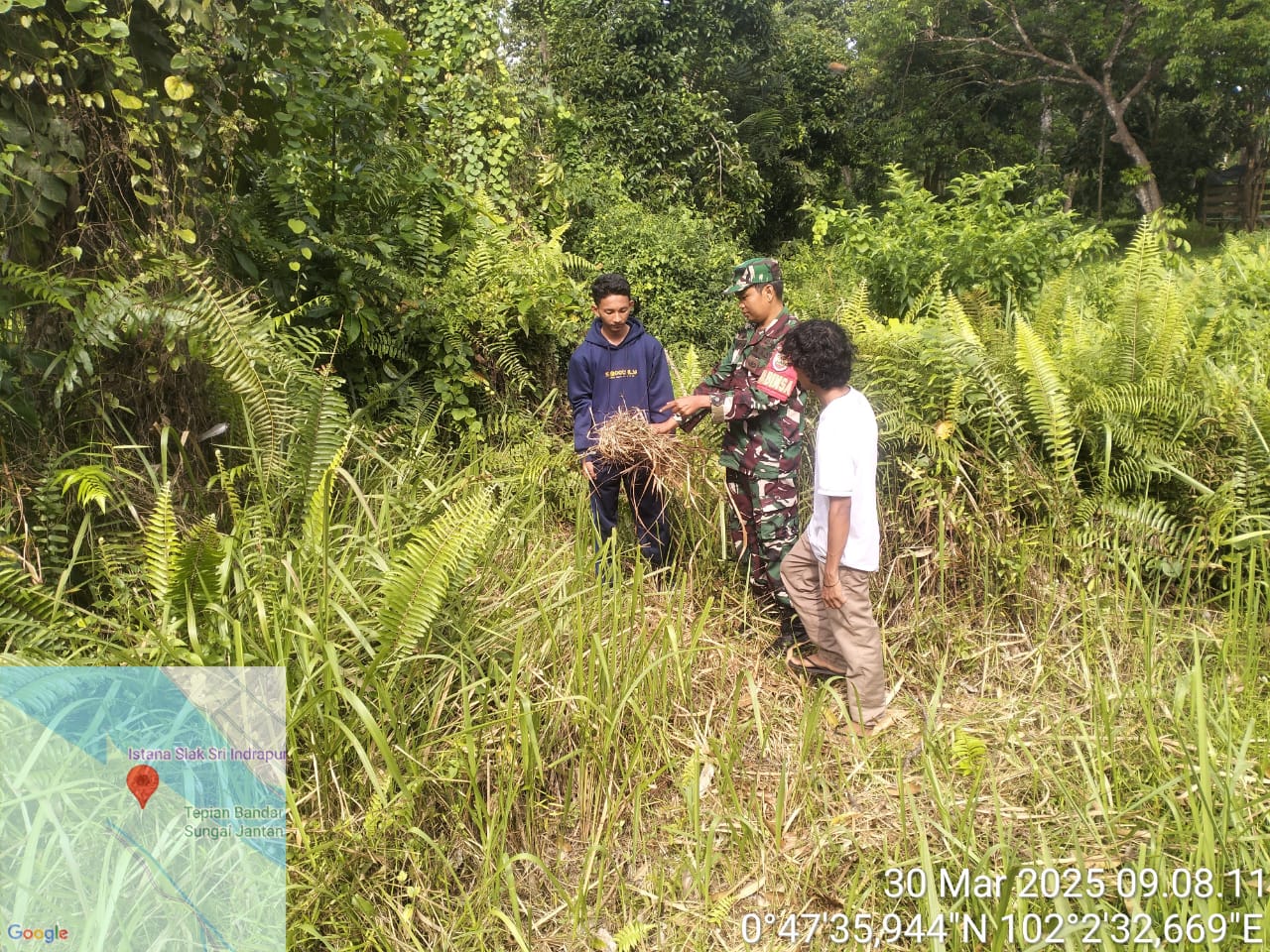 ...